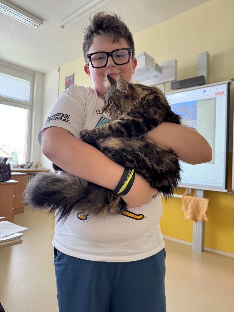 Mainská mývalí kočka ve 4. A : domácí mazlíček jako živá učebnice přírodovědy.