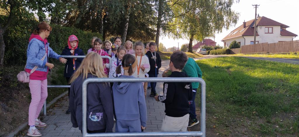 Medvíďátka z III. B jako dopravní detektivové